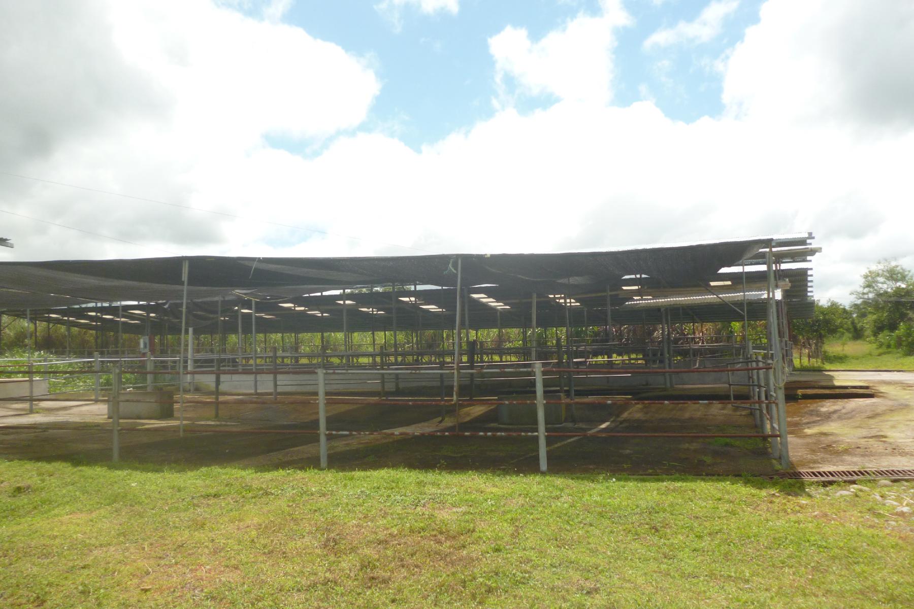 CHIRIQUI, BOQUERON, FARM IN MACANO.