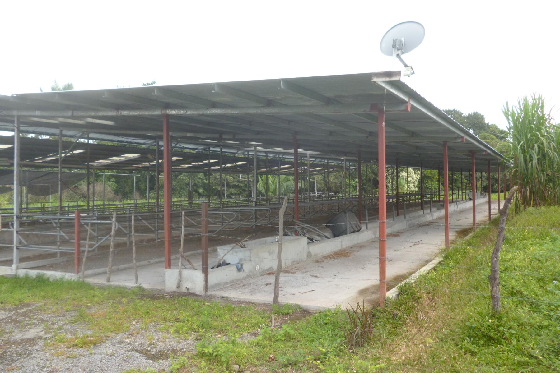 CHIRIQUI, BOQUERON, FARM IN MACANO.