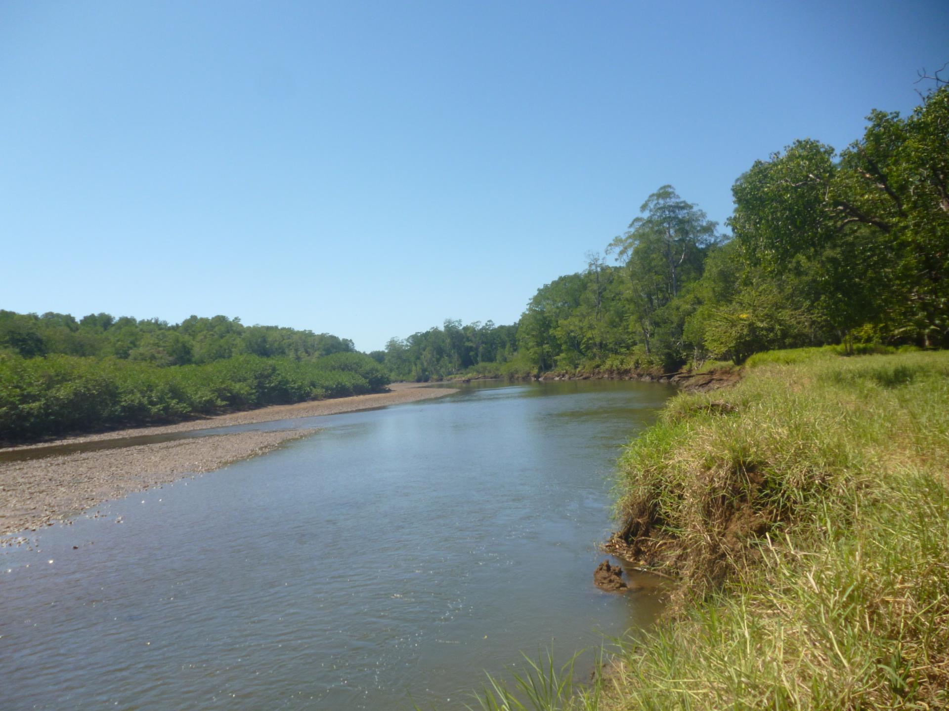 CHIRIQUI REMEDIOS PROPIEDAD CON FRENTE DE RIO A LO LARGO DE LA