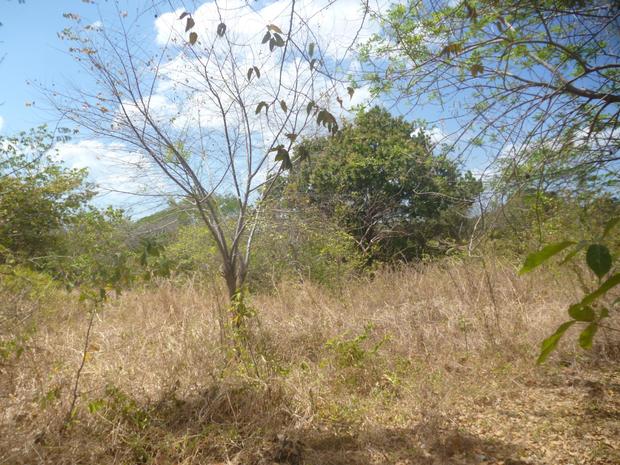 PANAMA OESTE, CHAME, 2 HECTARES (5 ACRES) IN LAS LAJAS.