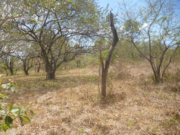 PANAMA OESTE, CHAME, 2 HECTARES (5 ACRES) IN LAS LAJAS.