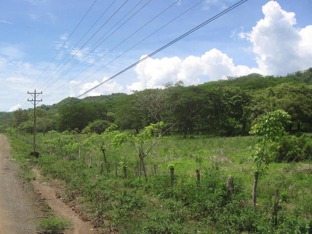 85.5 Hectares (212 Acres). Close to Tamarindo area.