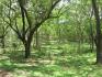 85.5 Hectares (212 Acres). Close to Tamarindo area.