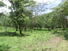 Farm 137 Hects Tamarindo area