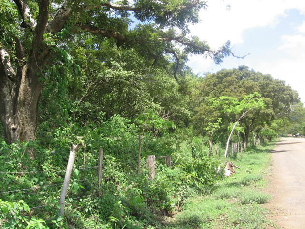 Farm 133 Hectareas, Tamarindo area