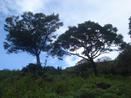 FARM, 143 HECTARES, MOUNTAIN, LAND, FOR SALE, CALDERA, BOQUETE, DAVID, CHIRIQUI, PANAMA FARM LAND, FOR SALE, CALDERA, BOQUETE, DAVID, CHIRIQUI, PANAMA, FINCA, PARA LA VENTA