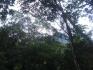 DAVID, CHIRIQUI, PANAMA, COUNTRYSIDE, PROPERTY, FOR SALE, 353 ACRES, FARM, WATERFRONT, CALDERA, BOQUETE