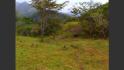 CALDERA RIVER, CALDERA, BOQUETE, DAVID, CHIRIQUI, PANAMA, HIGHLANDS OF CHIRIQUI, PROPERTY, FOR SALE