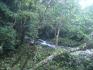 FOR SALE, 353 ACRES, FARM, WATERFRONT, CALDERA, BOQUETE, DAVID, CHIRIQUI, PANAMA, COUNTRYSIDE, PROPERTY