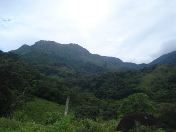 MOUNTAIN, LAND, FOR SALE, CALDERA, BOQUETE, DAVID, CHIRIQUI, PANAMA, FARM, 143 HECTARES