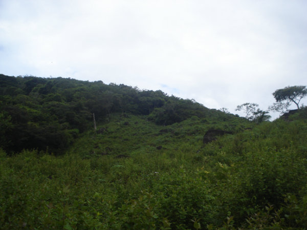 COMMERCIAL, CATTLE RANCH, CALDERA, BOQUETE, DAVID, CHIRIQUI, PANAMA, MOUNTAIN VIEW, PROPERTY, FOR SALE