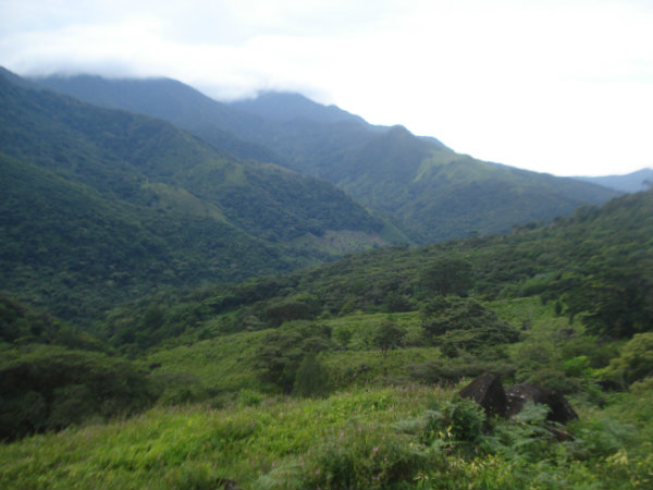 CALDERA, BOQUETE, DAVID, CHIRIQUI, PANAMA, 143 HECTARES, MOUNTAIN, LAND, FOR SALE