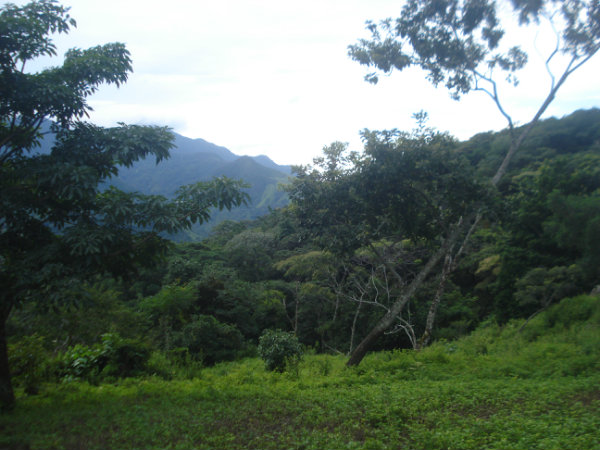 DAVID, CHIRIQUI, PANAMA, 143 HECTARES, MOUNTAIN, LAND, FOR SALE, CALDERA, BOQUETE