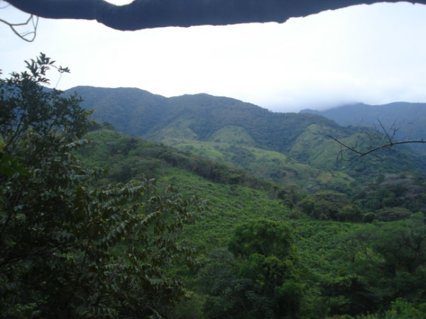 353 ACRES, FARM, WATERFRONT, CALDERA, BOQUETE, DAVID, CHRIQUI, PANAMA, COUNTRYSIDE, PROPERTY, FOR SALE