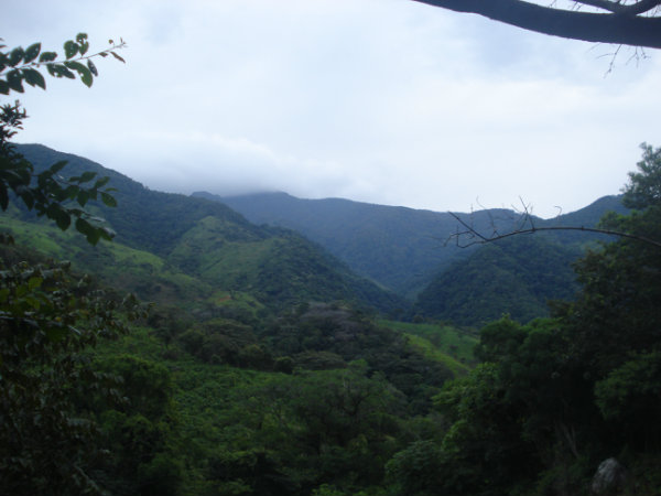 FARM, WATERFRONT, CALDERA, BOQUETE, DAVID, CHIRIQUI, PANAMA, COUNTRYSIDE, PROPERTY, FOR SALE, 353 ACRES