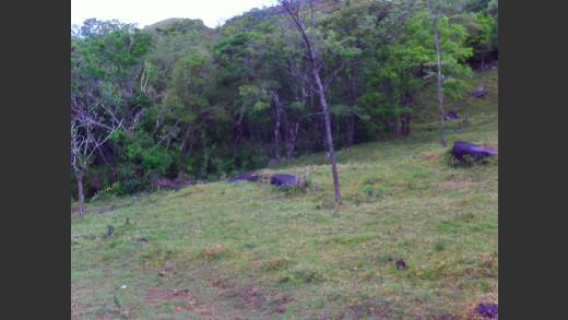 CHIRIQUI, PANAMA, HIGHLANDS OF CHIRIQUI, PROPERTY, FOR SALE, CALDERA RIVER, CALDERA, BOQUETE, DAVID