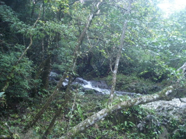 FOR SALE, 353 ACRES, FARM, WATERFRONT, CALDERA, BOQUETE, DAVID, CHIRIQUI, PANAMA, COUNTRYSIDE, PROPERTY