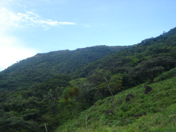 FOR SALE, CALDERA, BOQUETE, DAVID, CHIRIQUI, PANAMA, 143 HECTARES, MOUNTAIN, LAND