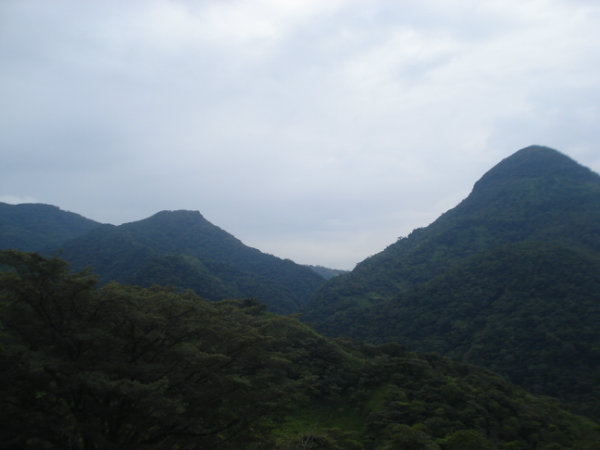 PROPERTY, FOR SALE, COMMERCIAL, CATTLE RANCH, CALDERA, BOQUETE, DAVID, CHIRIQUI, PANAMA, MOUNTAIN VIEW