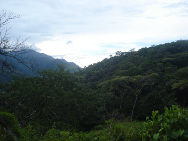 CALDERA, BOQUETE, DAVID, CHIRIQUI, PANAMA, MOUNTAIN VIEW, PROPERTY, FOR SALE, COMMERCIAL, CATTLE RANCH