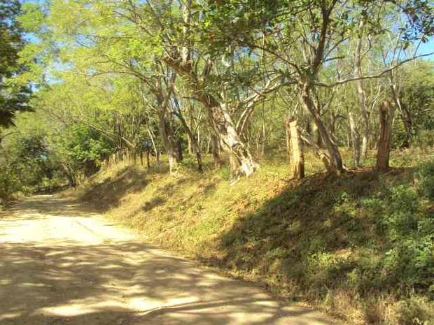 Villareal Residential Opportunity 1 Hectare - Tamarindo area
