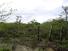 PANAMA SAN CARLOS LAS UVAS LARGE COUNTRY LOT