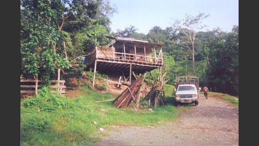 BOCAS DEL TORO, ALMIRANTE, FARM.