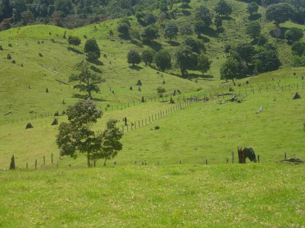 CHIRIQUI, DISTRITO DE TIERRAS ALTAS (HIGHLANDS DISTRICT), FARM LOCATED IN VOLCAN.