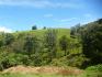 CHIRIQUI, DISTRITO DE TIERRAS ALTAS (HIGHLANDS DISTRICT), FARM LOCATED IN VOLCAN.