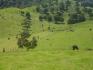 CHIRIQUI, DISTRITO DE TIERRAS ALTAS (HIGHLANDS DISTRICT), FARM LOCATED IN VOLCAN.