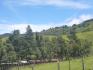 CHIRIQUI, DISTRITO DE TIERRAS ALTAS (HIGHLANDS DISTRICT), FARM LOCATED IN VOLCAN.