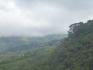 CHIRIQUI, DISTRITO DE TIERRAS ALTAS (HIGHLANDS DISTRICT), FARM LOCATED IN VOLCAN.