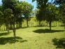 CHIRIQUI, DISTRITO DE TIERRAS ALTAS (HIGHLANDS DISTRICT), FARM LOCATED IN VOLCAN.