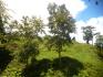 CHIRIQUI, DISTRITO DE TIERRAS ALTAS (HIGHLANDS DISTRICT), FARM LOCATED IN VOLCAN.