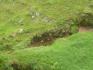 CHIRIQUI, DISTRITO DE TIERRAS ALTAS (HIGHLANDS DISTRICT), FARM LOCATED IN VOLCAN.