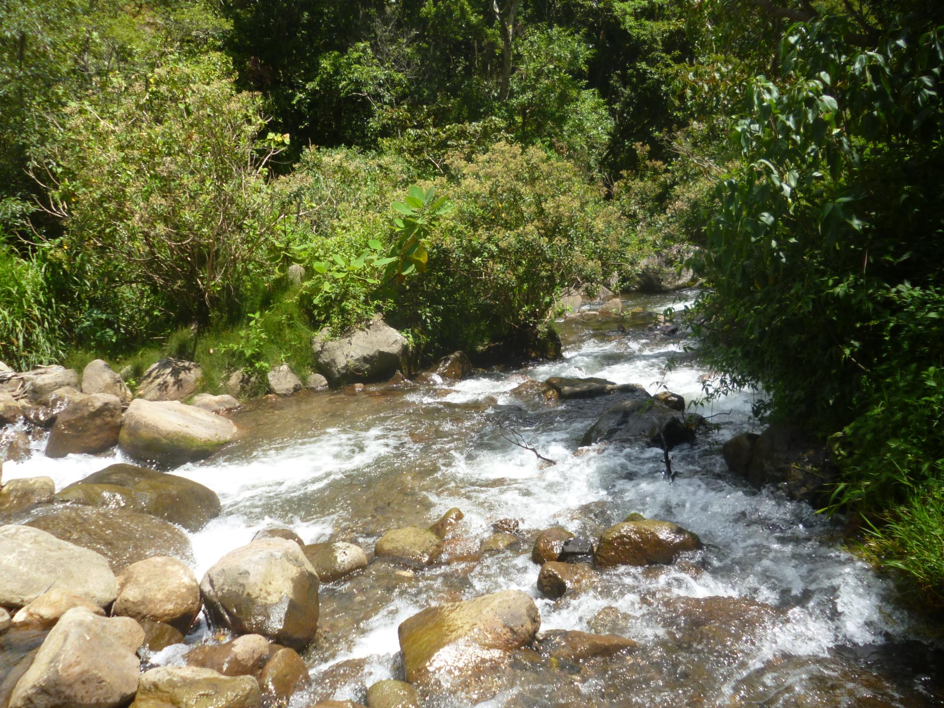 CHIRIQUI, DISTRITO DE TIERRAS ALTAS (HIGHLANDS DISTRICT), FARM LOCATED IN VOLCAN.