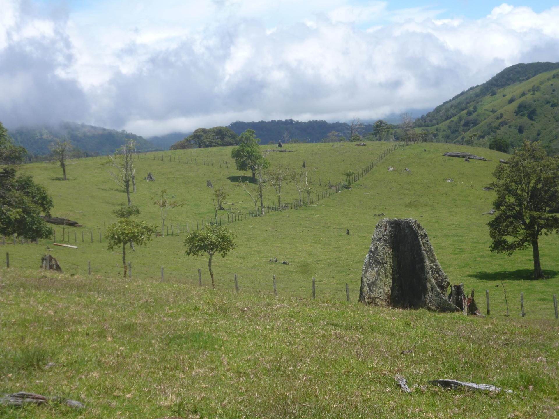 CHIRIQUI, DISTRITO DE TIERRAS ALTAS (HIGHLANDS DISTRICT), FARM LOCATED IN VOLCAN.