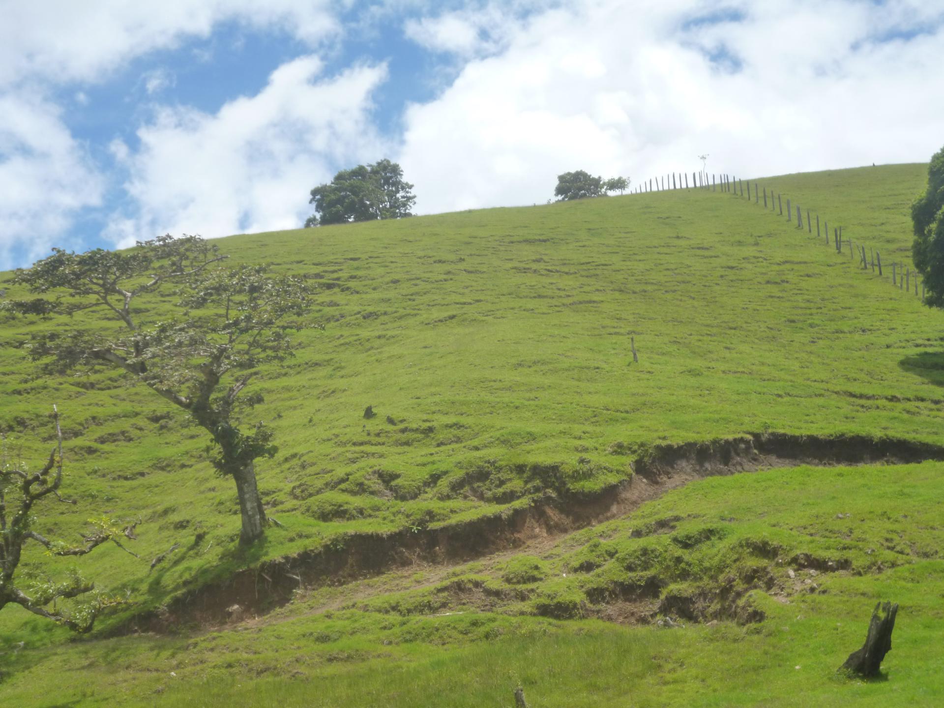 CHIRIQUI, DISTRITO DE TIERRAS ALTAS (HIGHLANDS DISTRICT), FARM LOCATED IN VOLCAN.