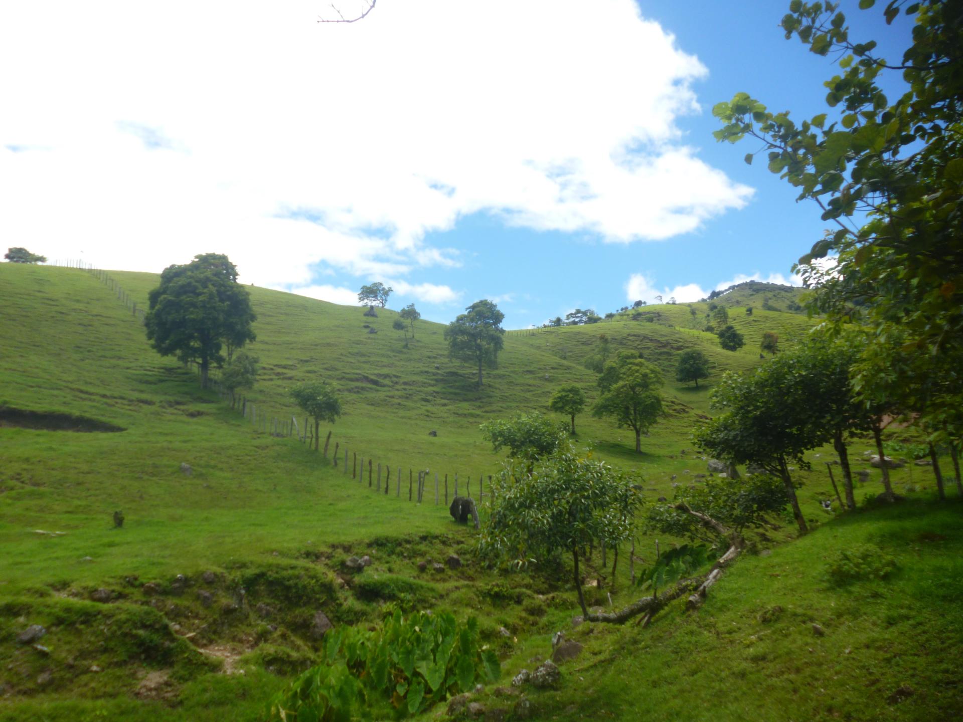 CHIRIQUI, DISTRITO DE TIERRAS ALTAS (HIGHLANDS DISTRICT), FARM LOCATED IN VOLCAN.