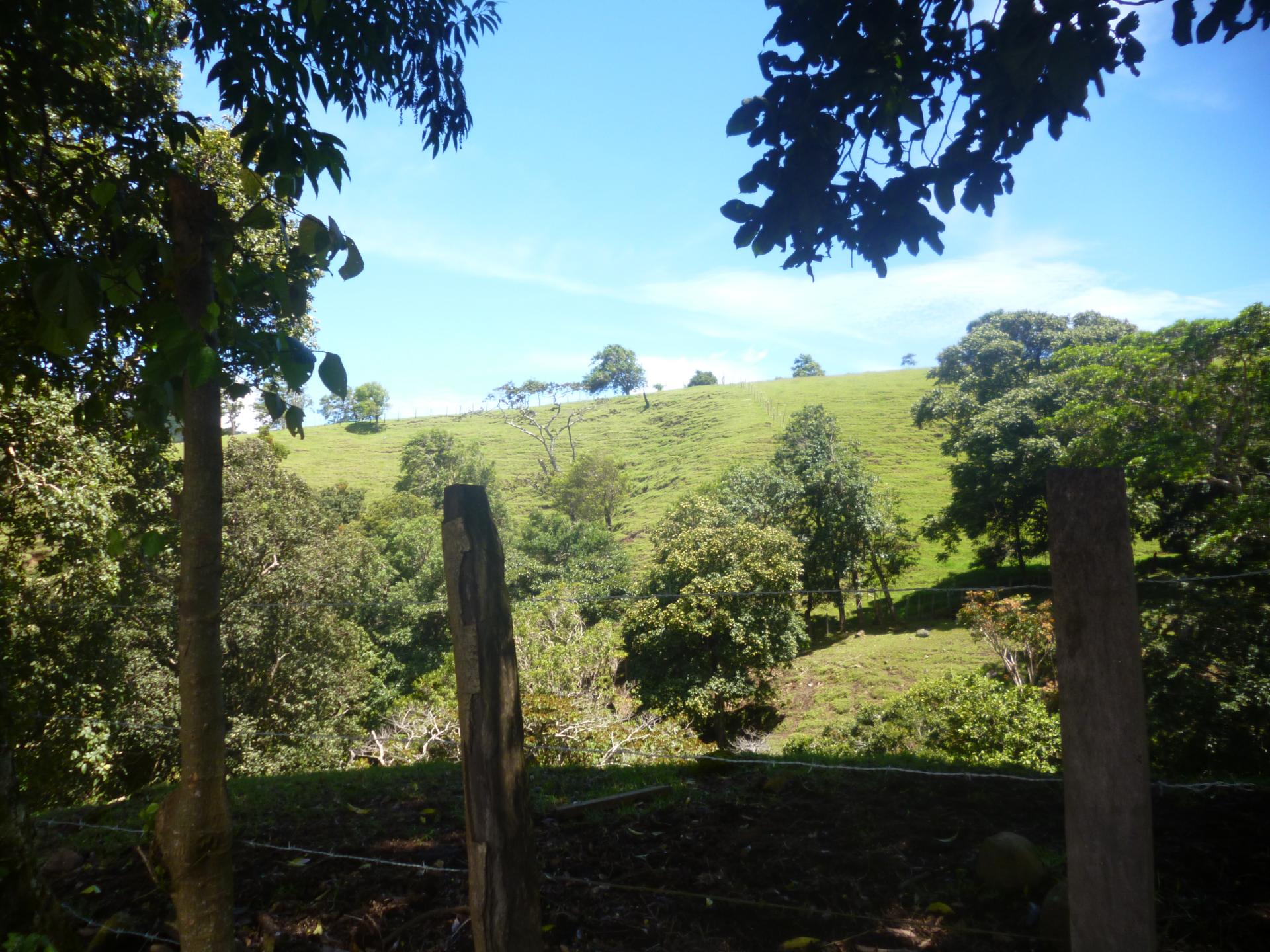 CHIRIQUI, DISTRITO DE TIERRAS ALTAS (HIGHLANDS DISTRICT), FARM LOCATED IN VOLCAN.