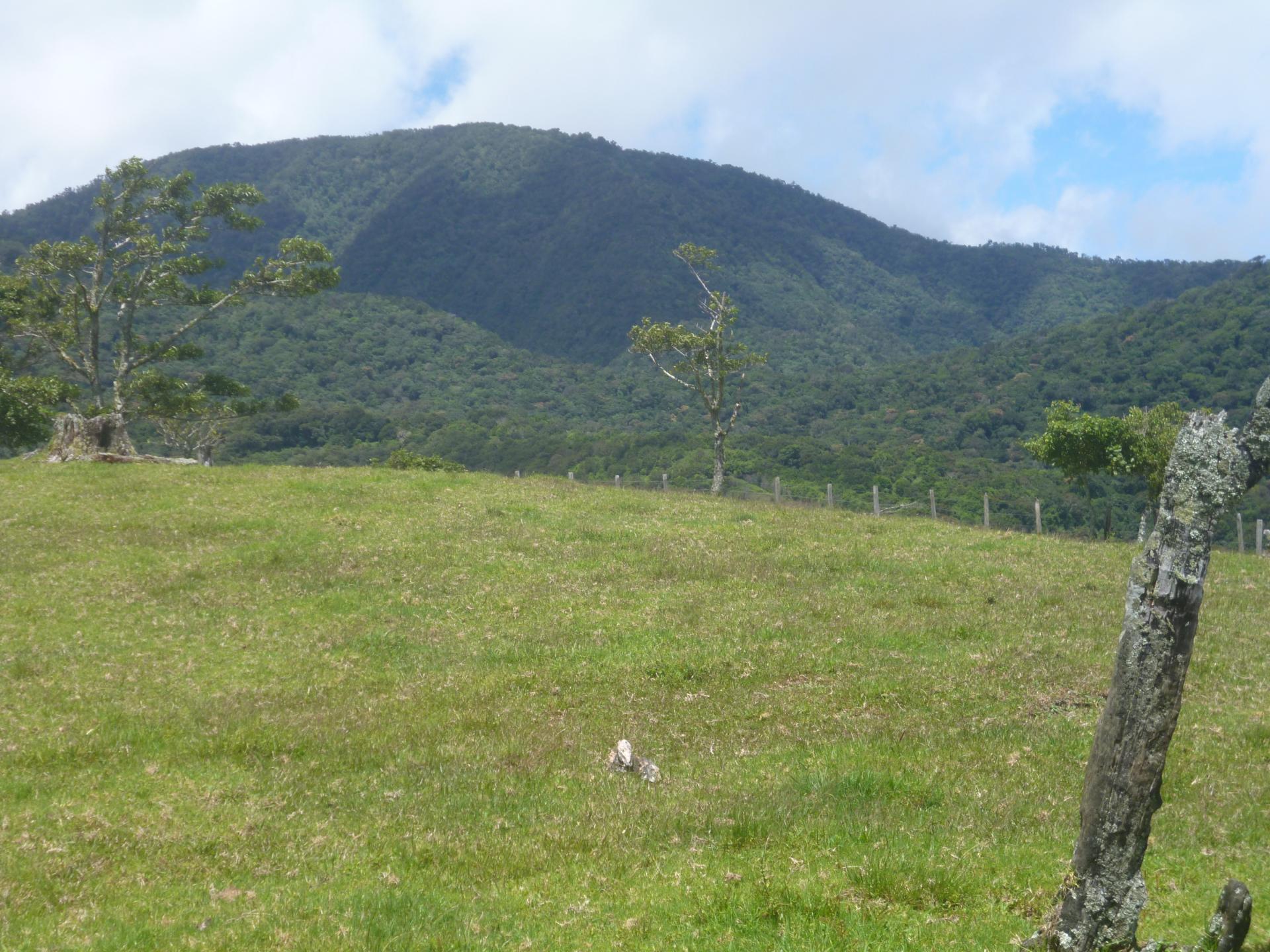 CHIRIQUI, DISTRITO DE TIERRAS ALTAS (HIGHLANDS DISTRICT), FARM LOCATED IN VOLCAN.