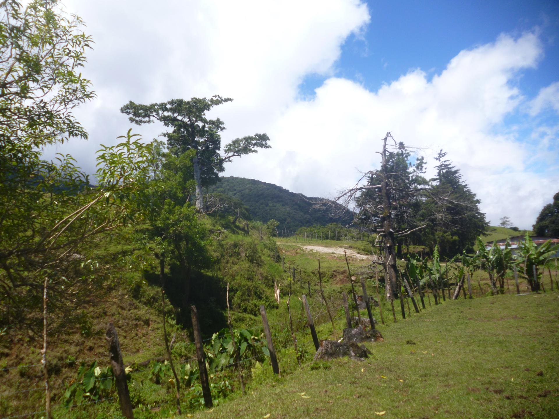 CHIRIQUI, DISTRITO DE TIERRAS ALTAS (HIGHLANDS DISTRICT), FARM LOCATED IN VOLCAN.