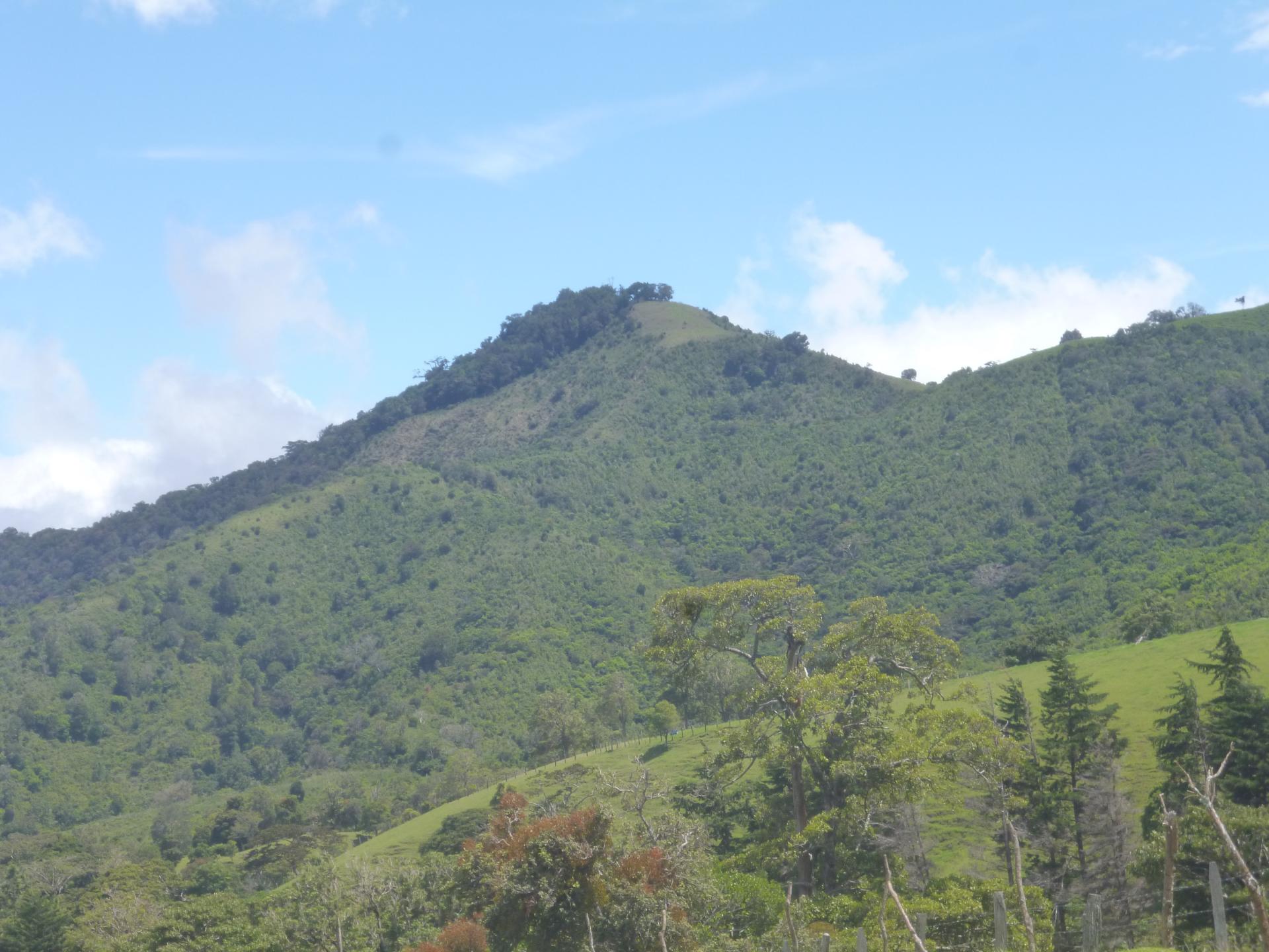 CHIRIQUI, DISTRITO DE TIERRAS ALTAS (HIGHLANDS DISTRICT), FARM LOCATED IN VOLCAN.