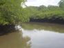 CHIRIQUI, SAN LORENZO, OCEANFRONT FARM FOR SALE IN CUCHARA, HORCONCITOS.