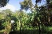 PANAMA OESTE, SAN CARLOS, SORA, PROPERTY LOCATED NEAR ALTOS DEL MARIA.