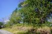 PANAMA OESTE, SAN CARLOS, SORA, PROPERTY LOCATED NEAR ALTOS DEL MARIA.