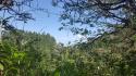 PANAMA OESTE, SAN CARLOS, SORA, PROPERTY LOCATED NEAR ALTOS DEL MARIA.