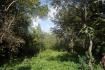 PANAMA OESTE, SAN CARLOS, SORA, PROPERTY LOCATED NEAR ALTOS DEL MARIA.