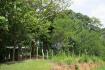 PANAMA OESTE, SAN CARLOS, SORA, PROPERTY LOCATED NEAR ALTOS DEL MARIA.
