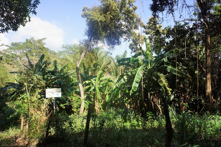 PANAMA OESTE, SAN CARLOS, SORA, PROPERTY LOCATED NEAR ALTOS DEL MARIA.